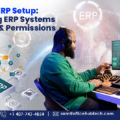 AV ERP Setup Mapping ERP Systems to Roles & Permissions